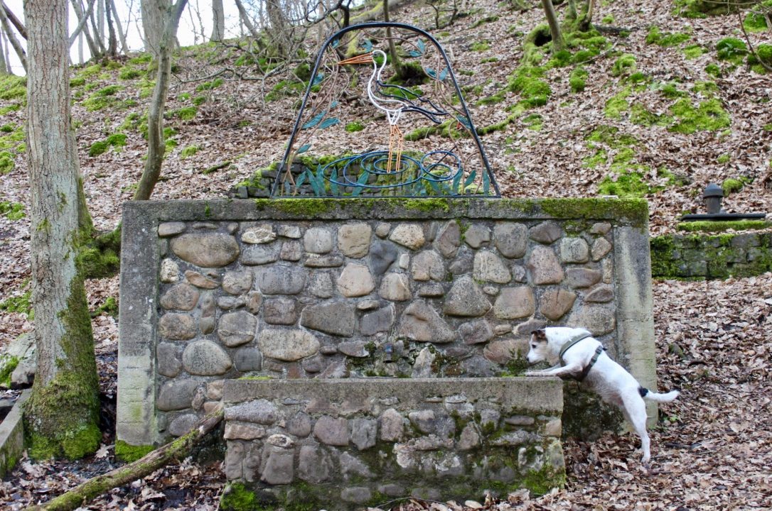 Wandern mit Hund in Bad Sobernheim